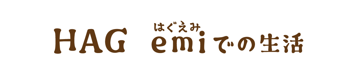 HAG emiでの生活